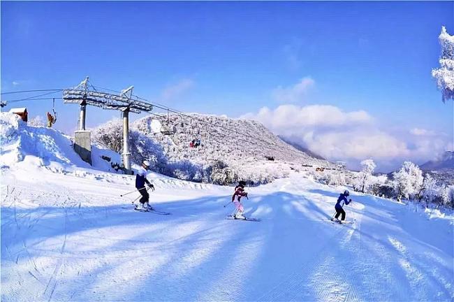 冰雪上岸是什么原理_上岸是什么意思(3)