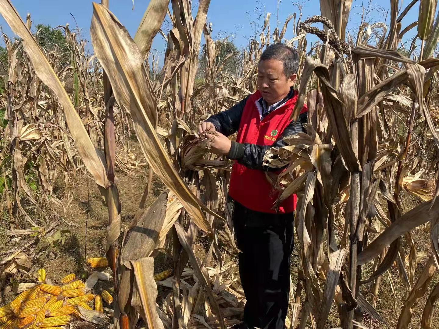 微信图片_202110181955218