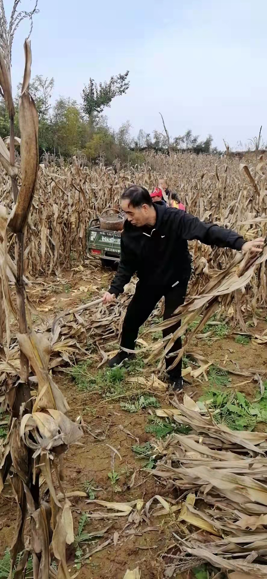 微信图片_202110191051577