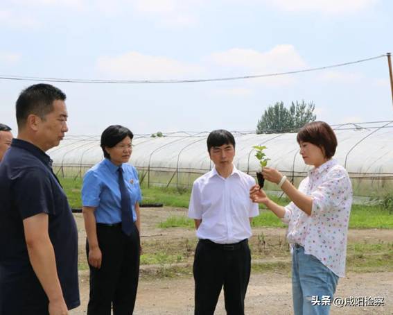 https://p3-sign.toutiaoimg.com/tos-cn-i-qvj2lq49k0/757adf6f71f140b5927ec609de4de252~noop.image?_iz=58558&from=article.pc_detail&x-expires=1674698000&x-signature=18Rzl03CO74WuIlKHZOmcVb9X%2BI%3D