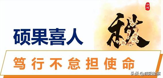 https://p3-sign.toutiaoimg.com/tos-cn-i-qvj2lq49k0/ce030be01c154362ab661dde64d8d0e7~noop.image?_iz=58558&from=article.pc_detail&x-expires=1674698000&x-signature=IFz%2F31YYSGQTucCsSOrAIWrDmXY%3D