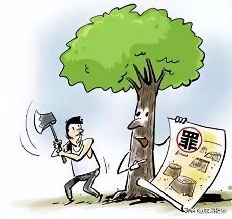 https://p3-sign.toutiaoimg.com/tos-cn-i-qvj2lq49k0/0b1d514bdc27456f97fa0eb47ec6fb87~noop.image?_iz=58558&from=article.pc_detail&x-expires=1676275423&x-signature=lLCFqWo2NgmXlMj4haAD8fWtbkA%3D