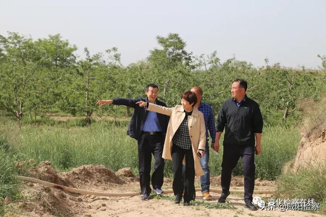【公益诉讼】 淳化检察院“三年间”守护人民群众 生活的方方面面