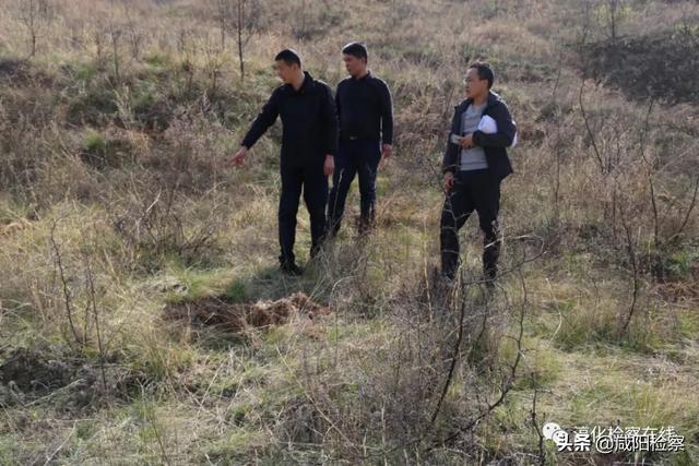 【公益诉讼】 淳化检察院“三年间”守护人民群众 生活的方方面面