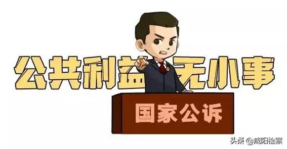【检察为民办实事】武功县检察院提起的一起非法占用农用地刑事附带民事公益诉讼案件宣判