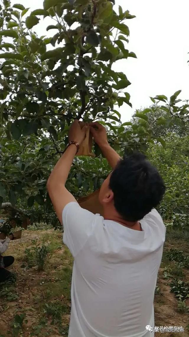 【旬邑检察】赢在扶贫路上的检察干部