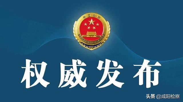武功县检察院公诉人出庭支持公诉蔡某某等人涉黑案