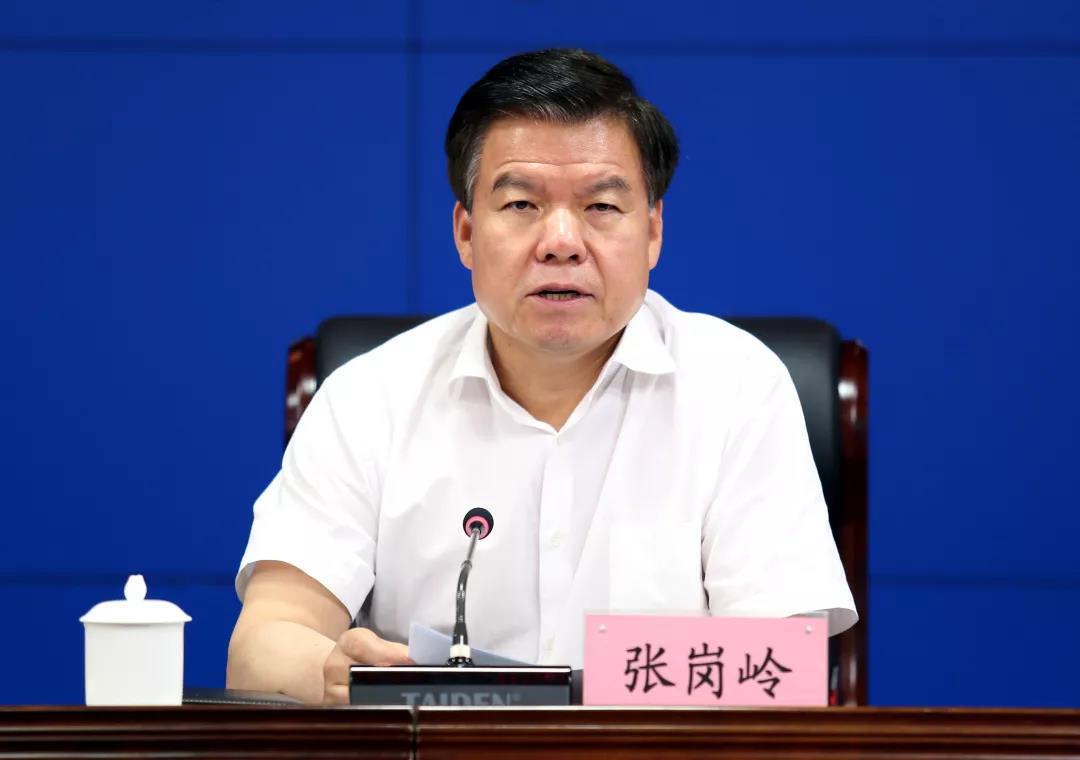 陕西省委第五巡回指导组组长张岗岭