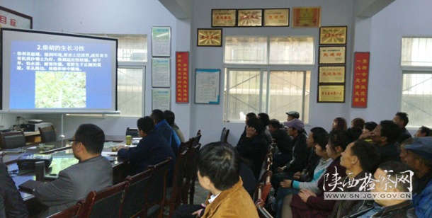 略阳：政策技术送上门  困难疑惑当场解